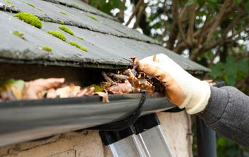 gutter cleaning Fedw Fawr, Isle Of Anglesey