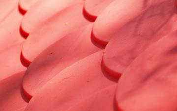 Fedw Fawr plastic roof costs