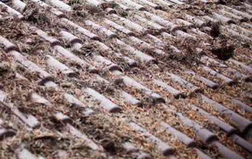 Fedw Fawr roof cleaning companies