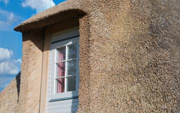Fedw Fawr thatch roof disadvantages