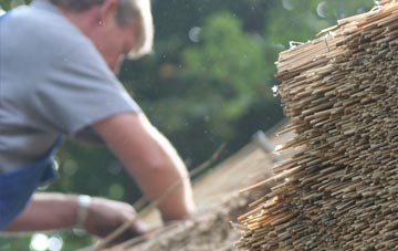 professional Fedw Fawr thatchers